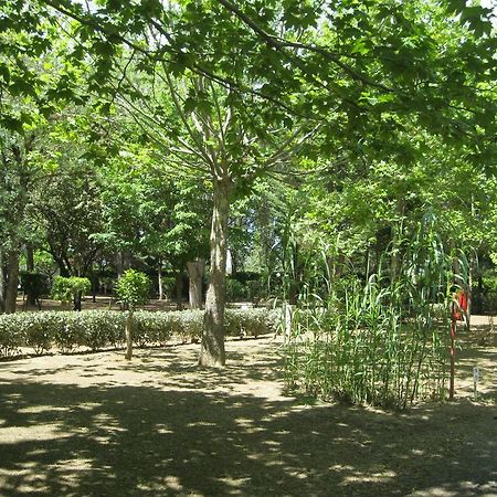 Camping Le Rebau Montblanc Exterior foto